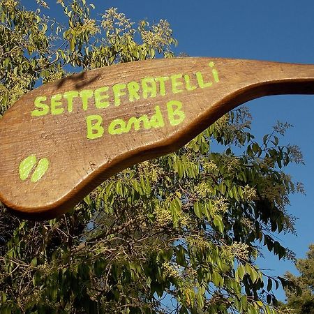 B&B Sette Fratelli San Gregorio  Exterior foto