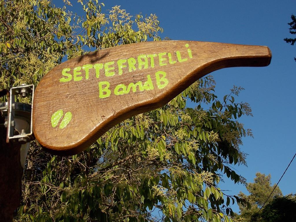 B&B Sette Fratelli San Gregorio  Exterior foto