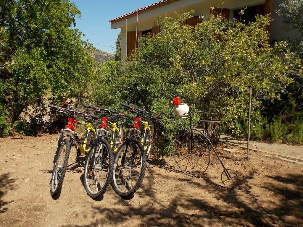 B&B Sette Fratelli San Gregorio  Exterior foto